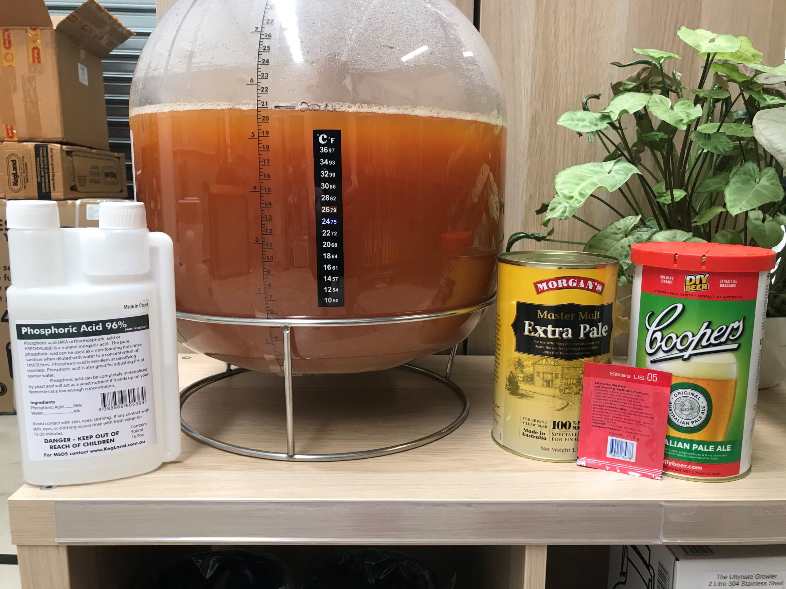 Pressure Fermenter